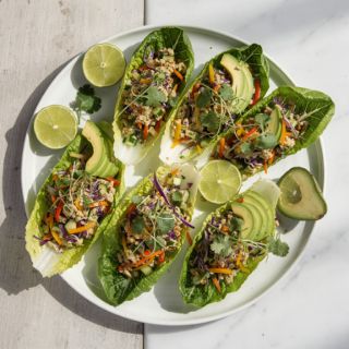 Veggie Slaw Romaine Boats